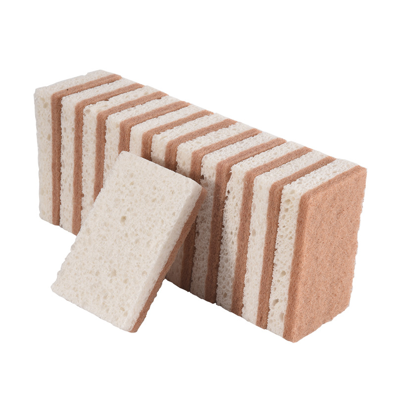 Umweltfreundliche Naturschwämm – Eco Sponge Bewertung und Preis