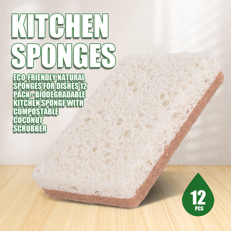 Umweltfreundliche Naturschwämm – Eco Sponge Bewertung und Preis